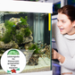 💯HOT SALE🔥Powerful Aquarium Water Purification Tablet