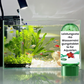 💯HOT SALE🔥Powerful Aquarium Water Purification Tablet